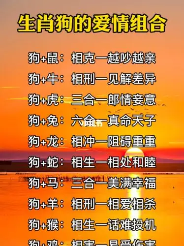 生肖狗的爱情组合来来