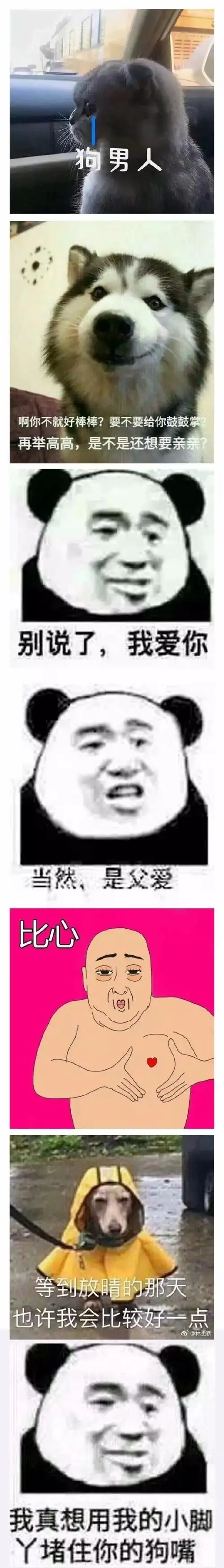 这是一条怼人必胜表情包合集