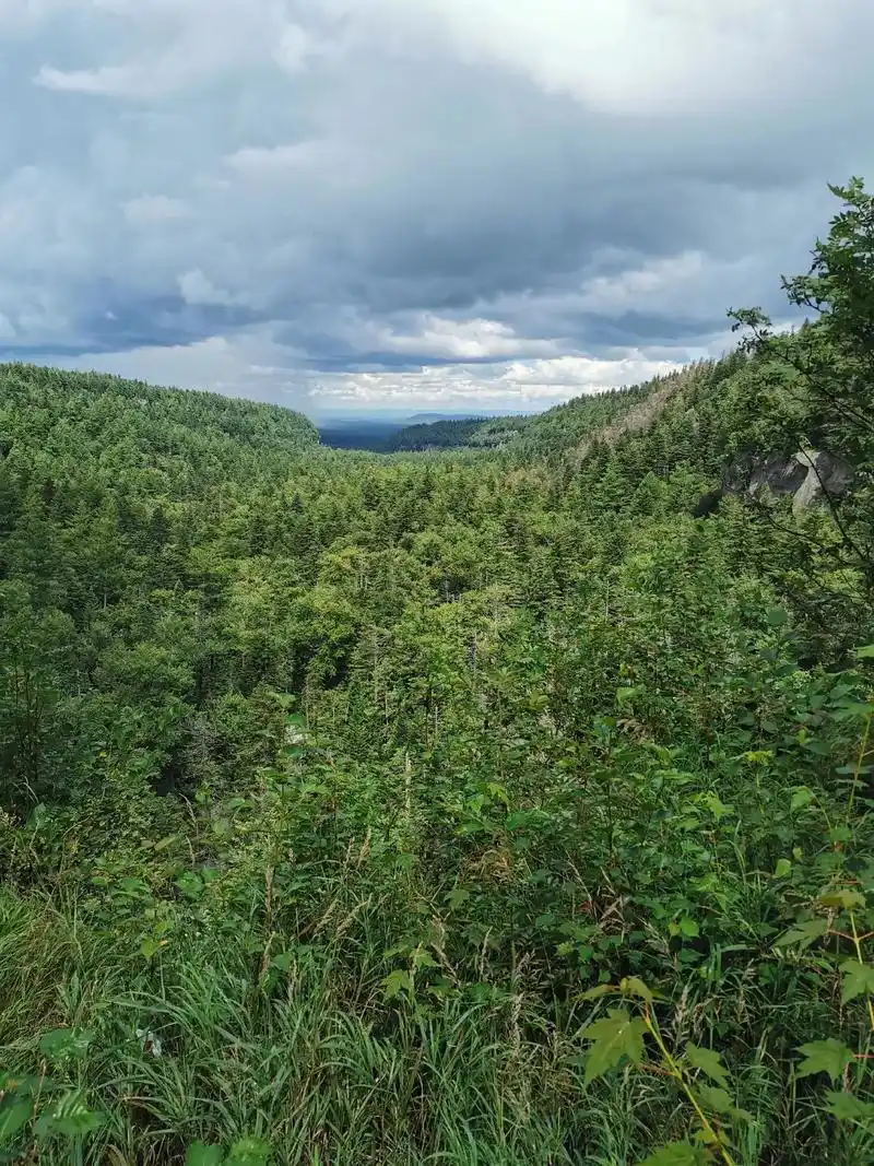 长白山地下森林大峡谷,天然的大氧吧,被称作谷底森林,幽谷森 - 兑音