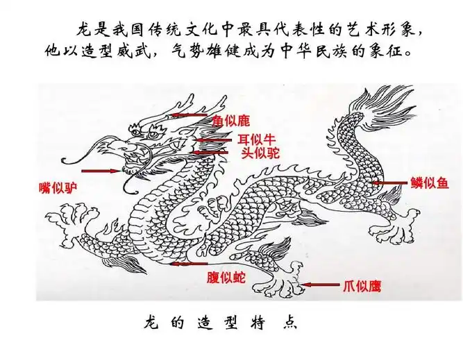 《大家动手做条龙》课件1ppt