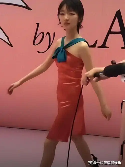 嘴,驴脸,平胸,明明长得难看却火遍大江南北!_舒淇_任素_张艺谋