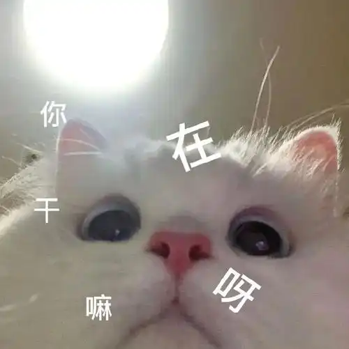 表情包##表情包无水印##搞笑表情包##沙雕表情包