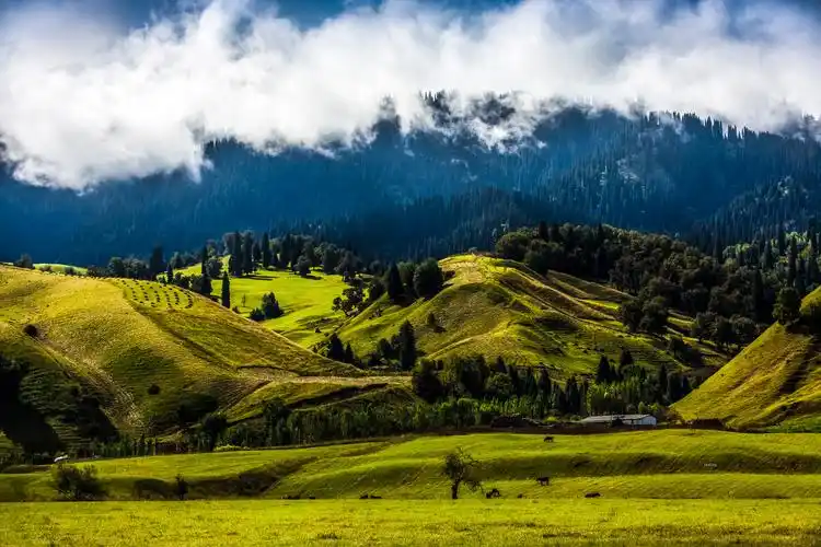 那拉提空中草原6