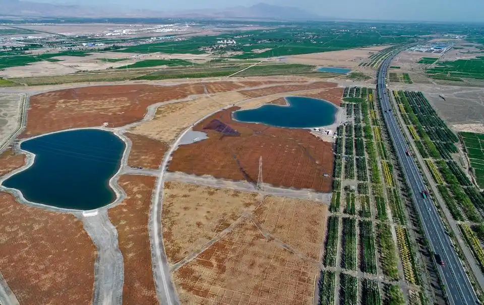 甘肃张掖:胡杨林构筑绿色生态屏障现雏形