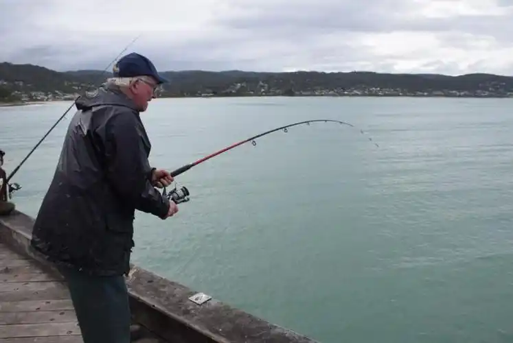 大洋路上的"捕鱼达人"