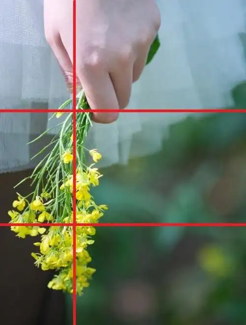 九宫格构图(九宫格图片怎么做)