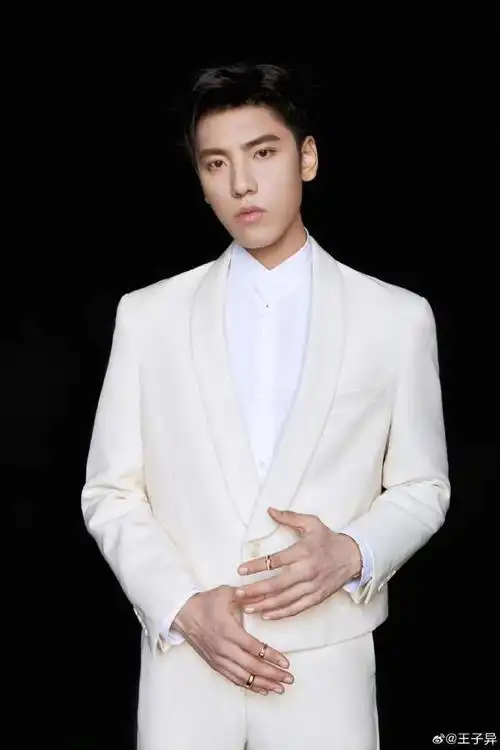 能量偶像人物志:音乐才子——王子异|音乐|才子|偶像_新浪新闻