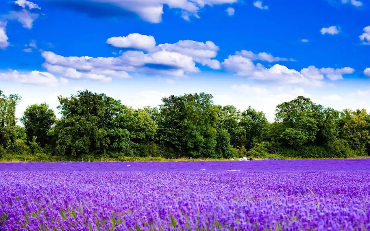 唯美高清山川风景宽屏桌面电脑壁纸_风景壁纸_壁纸下载_美桌网