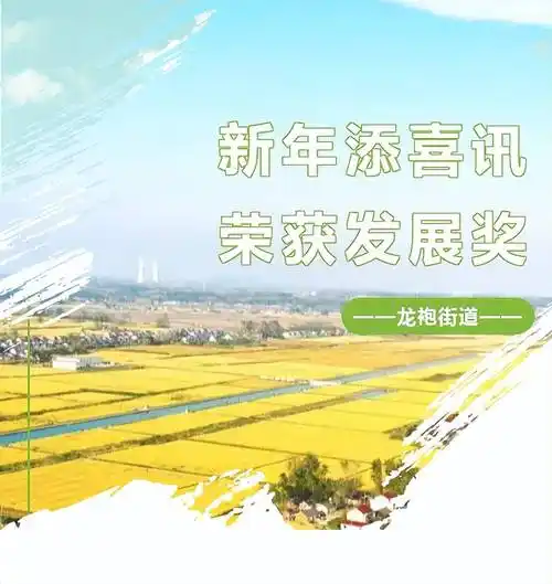 龙袍街道获2023年度全市涉农街镇推进乡村振兴战略实绩