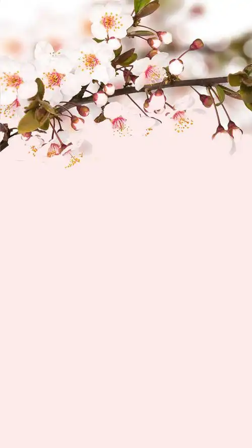 小清新淡雅桃花h5背景素材