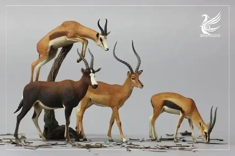 大飞gk工作室|大飞动物模型~非洲四小羚羊|非洲系列接近尾声 - 抖音