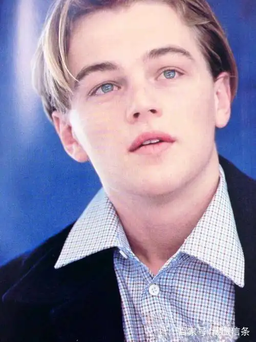 惨绝人寰(莱昂纳多年轻的时候帅得惨绝人寰)(图2)