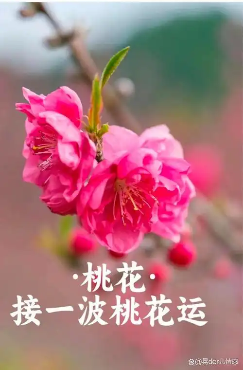 40岁迎来"桃花运",是福还是祸?差点迷失了自我