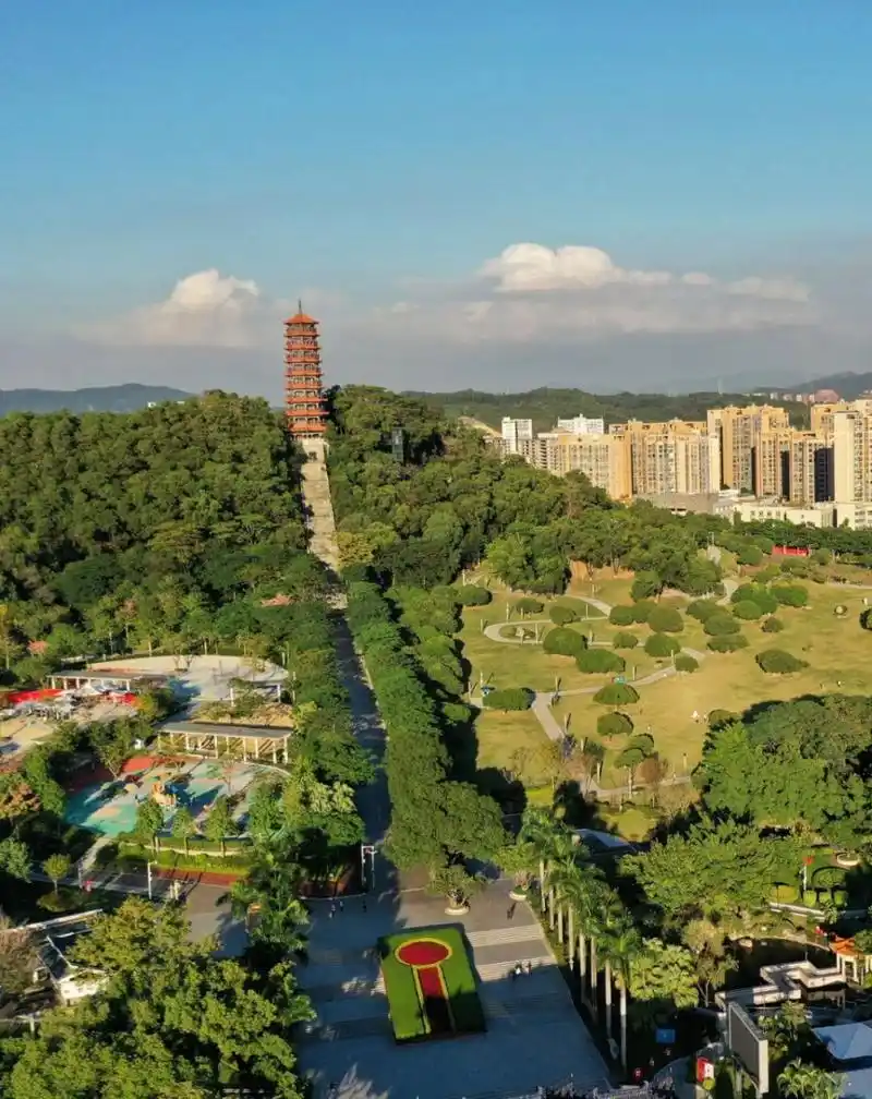 深圳‖ 红花山公园 一个被称为草海的浪漫主题公园,除了一大片的粉子