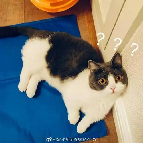 肖战用过的表情包第八弹 发现他用了好多自己的表情包呢#肖战#肖战