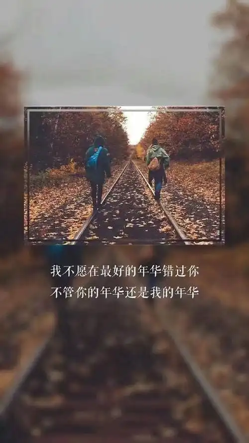 唯美伤感带字画中画手机壁纸绝望的是没有希望的等待