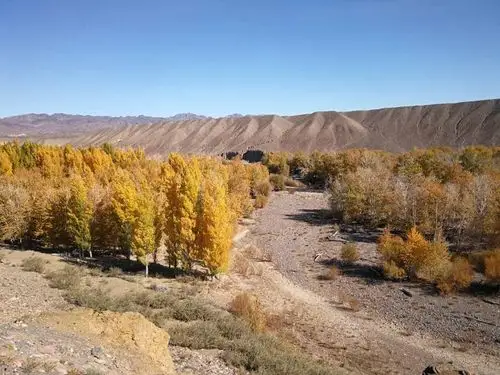 我美丽的家乡白杨河