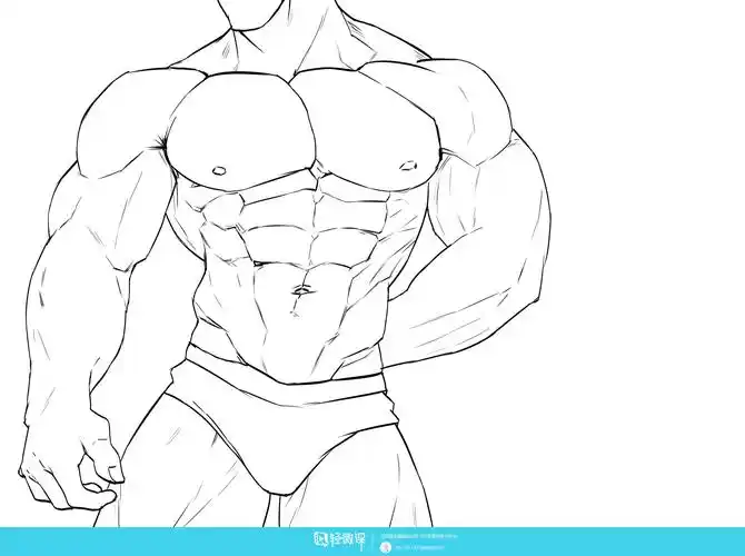 作业:如何学画手绘动漫人物之男性肌肉画法与训练技巧 - rh-16-183 我