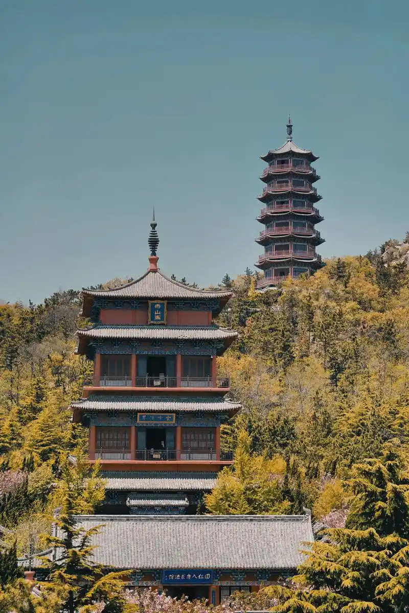 说走就走,是人生最华美的奢侈,也是最灿烂的自由#赤山风景区  - 抖音