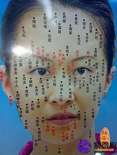 女人长痣面相图-紫微府