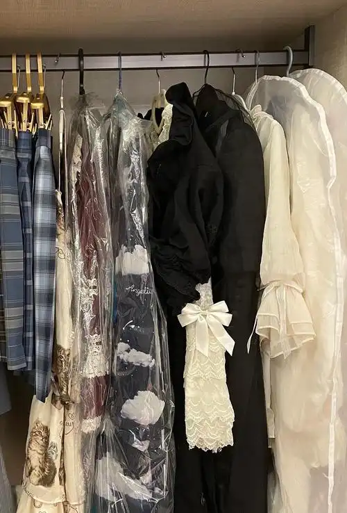 05衣柜及裙子分享