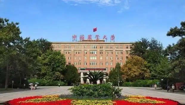 揭秘最容易捡漏的985大学排行榜,中国农业大学位列榜首!-图1