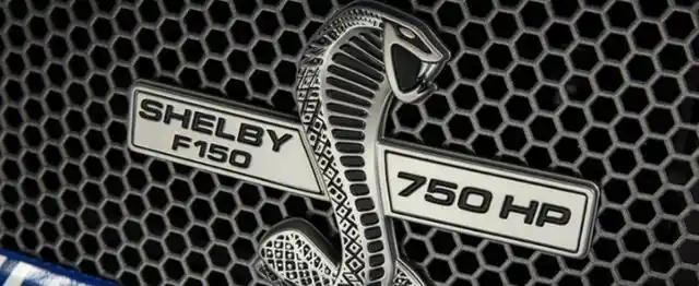 车标蛇是什么车