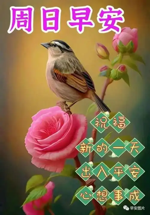 16,一个朋友一片天,一个知己一份情,珍惜人生每一天.