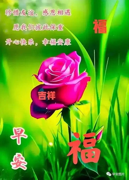 9月21日早安漂亮图片问候祝福语|快乐|清晨|澎湃|幸福|早上好_网易