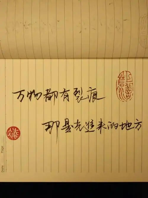 万物都有裂痕,那是光进来的地方.