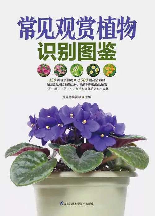 常见观赏植物识别图鉴