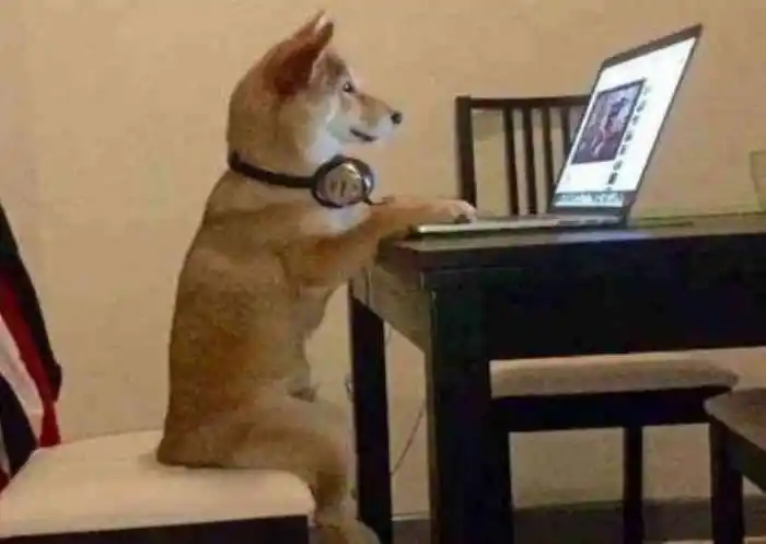 生活杂谈 > 文章详情逃避式追剧意思是面对剧里面虐