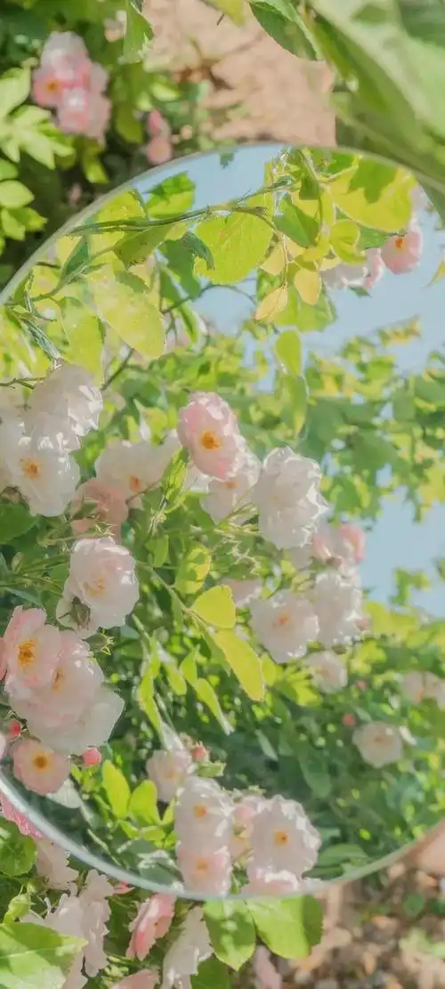 壁纸,朋友圈背景图,表情头像立刻设我为星标/置顶- 爱你们哟抖音热门