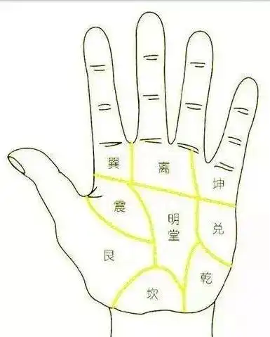 我们将手掌部分分为九宫格.