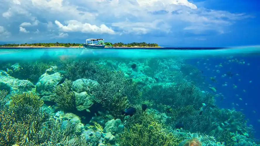 神奇美丽的海底珊瑚高清风景图片桌面壁纸第一辑