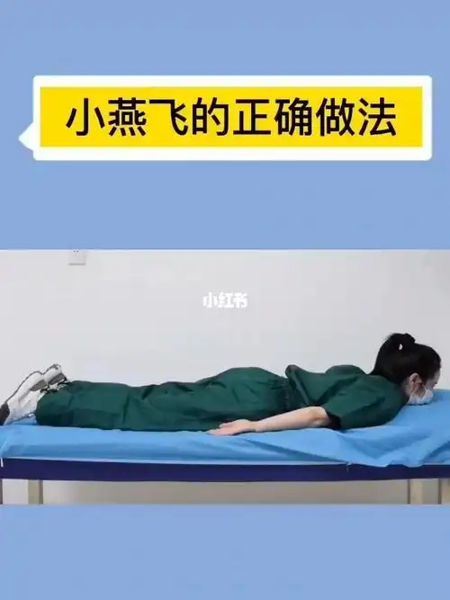 小燕飞的正确做法分享