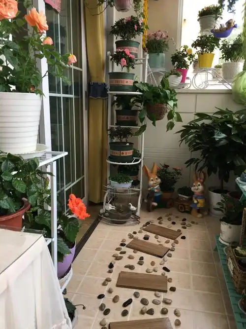 我的阳台小花园和菜园