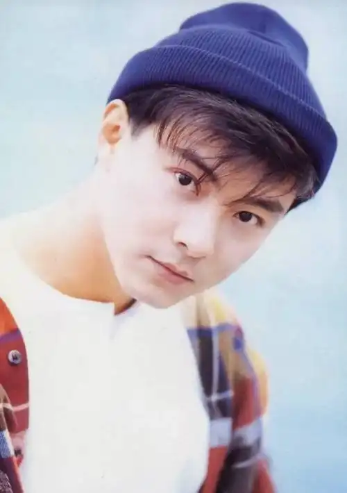 但张卫健当年有头发的时候,可以说是美颜无敌了.