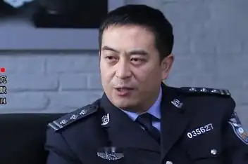 反黑使命2沉默张嘉译_百度视频搜索