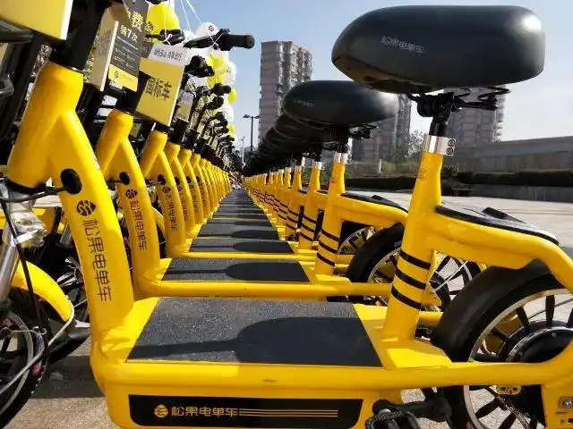 共享电单车落户楚雄武定