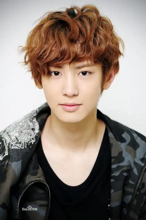 exo成员的名字及单人照.