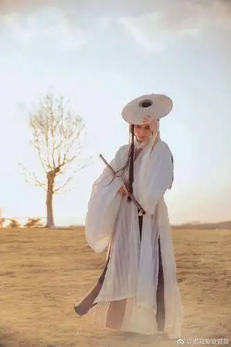 古装汉服男斗笠广袖大漠侠客