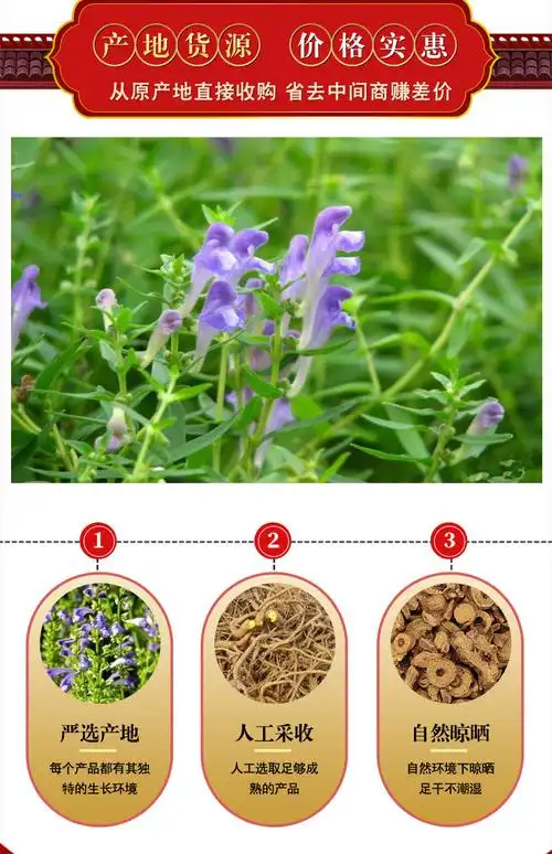 2020年无硫中药材 黄芩 甘肃黄芩 内蒙黄芪 支持药检 可开发票