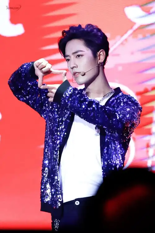 【肖战】 20181201 深圳演唱会