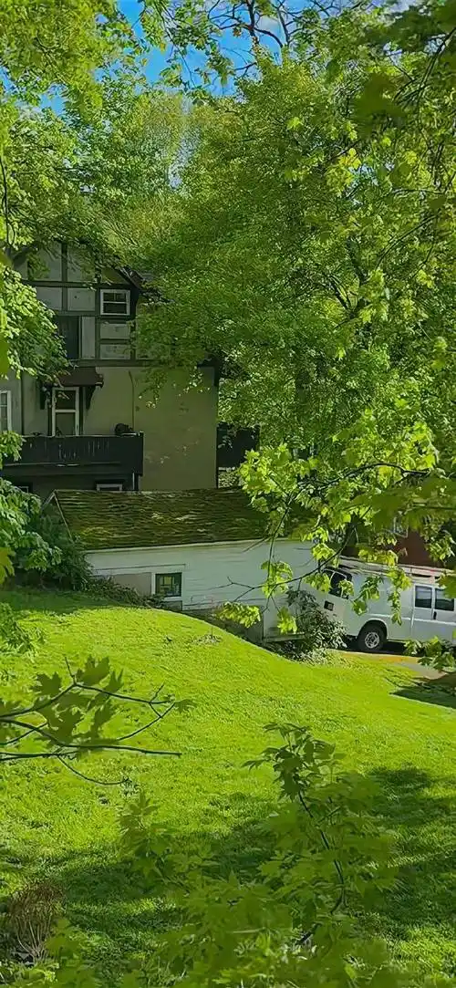 壁纸| 向你发射一组绿色护眼壁纸676767676767 6767