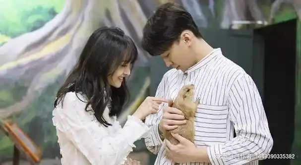 法院判定郑爽无财产可执行当初的当红小花如今落得如此田地