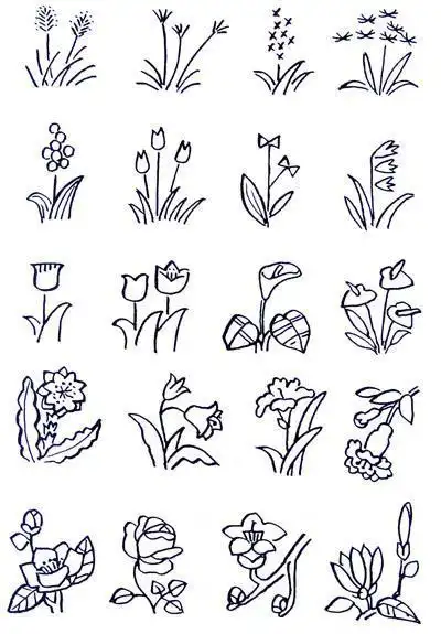 简笔画花草图片大全 简笔画花草图片大全彩色