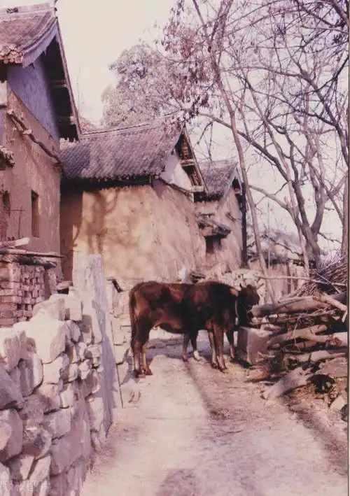 90年代河南农村老照片每一张都是农村孩子的故事看过后想家了