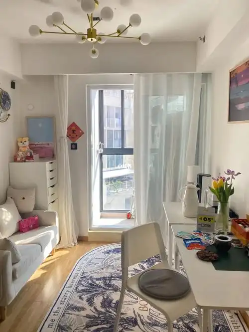 给自己买了婚前一室一厅38平小公寓不想结婚