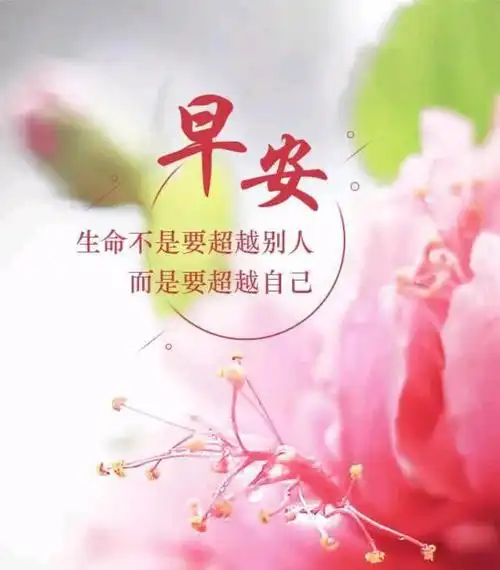 人生何必等,天天好心情!——问天行者每日早安分享三